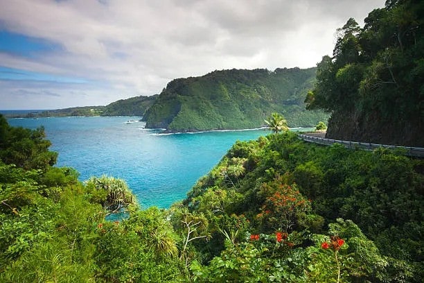 Plage de sable doré à Maui, Hawaï, avec des palmiers et une eau cristalline idéale pour la plongée.