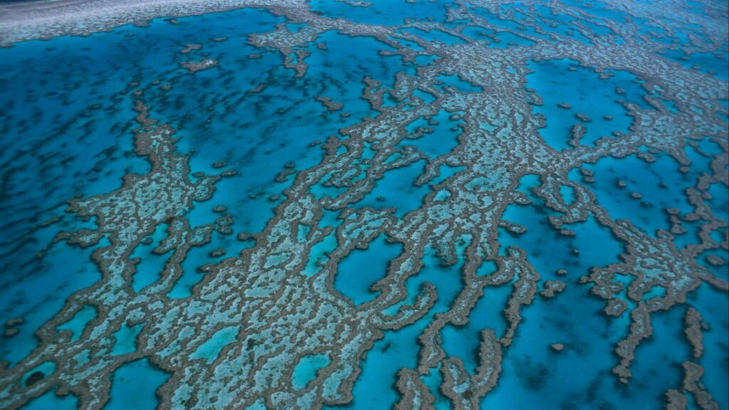 Vue aérienne de la Grande Barrière de Corail en Australie, un site emblématique sous-marin inscrit dans le Top 5 des lieux à voir avant de mourir.