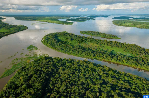 bassin du Congo