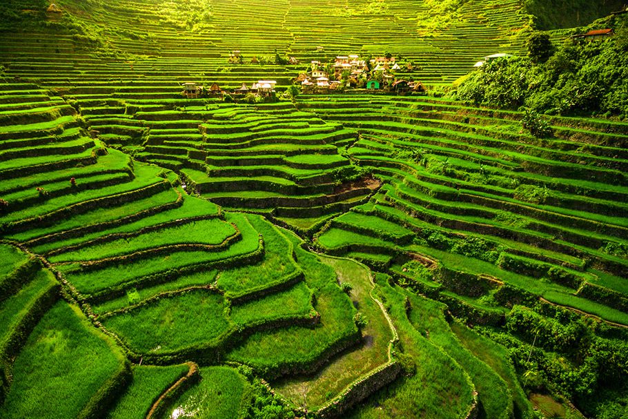 Rizières en terrasses de Batad et Banaue