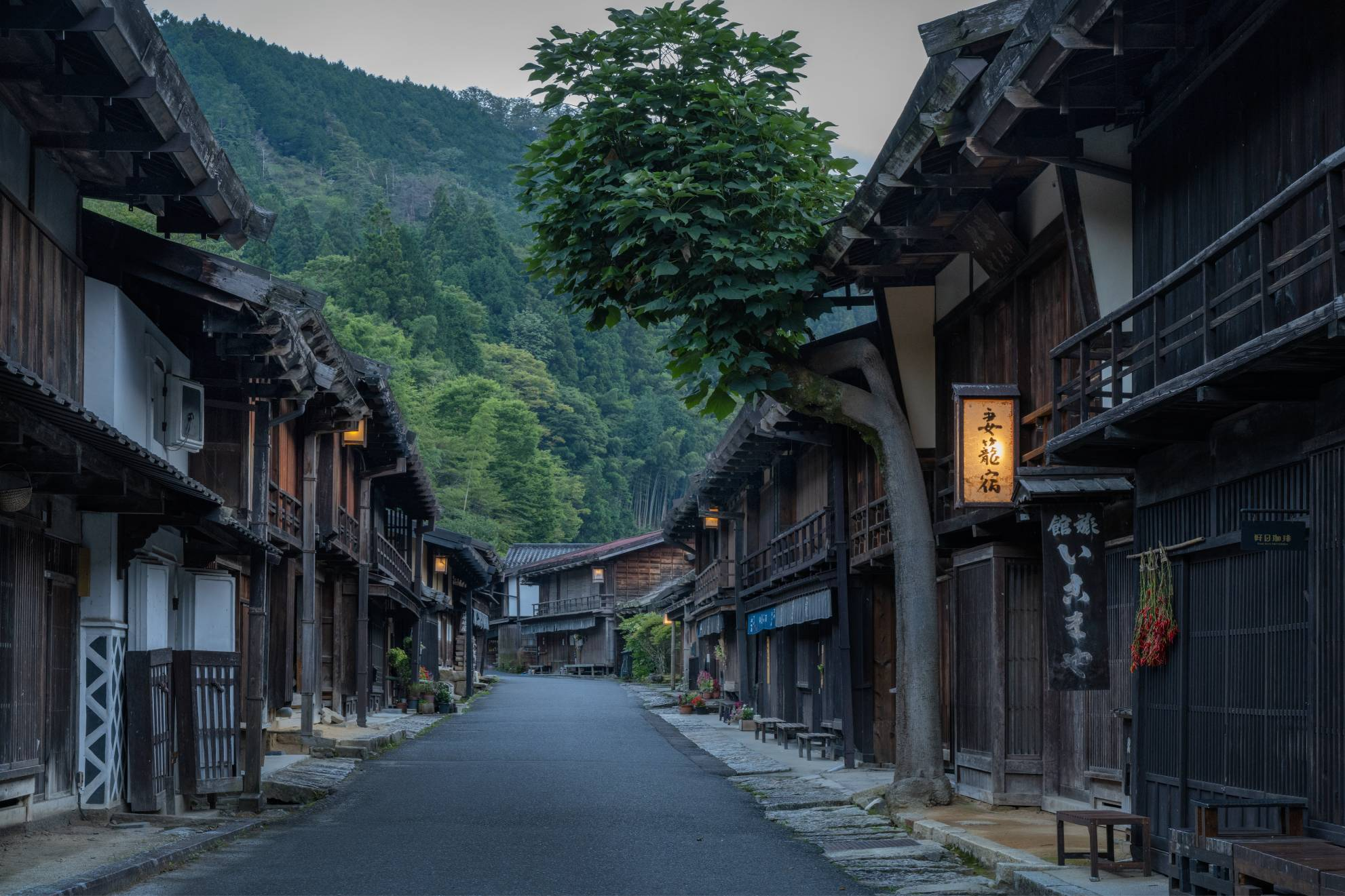 Top 4 des Meilleurs plats à goûter au japon