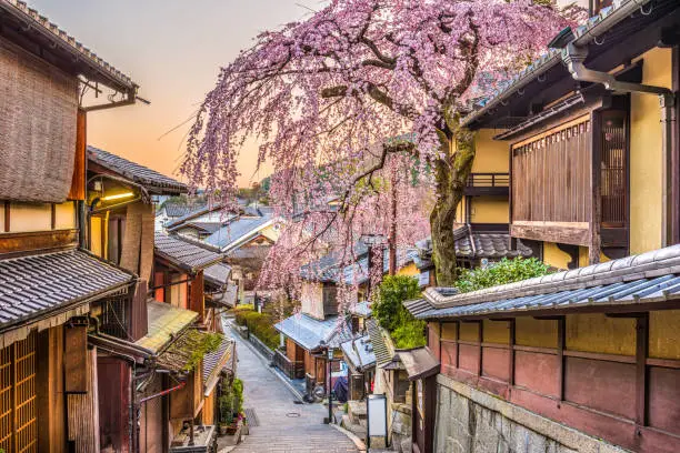 Image d'une rue de Kyoto avec des cerisiers en fleurs