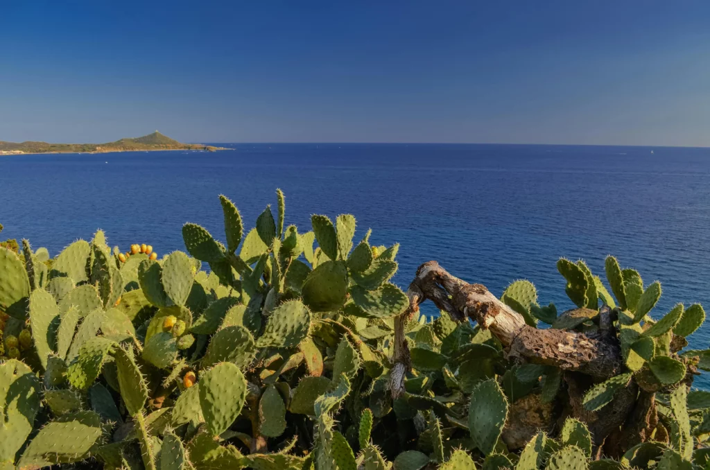 Paysage de la mer en Sardaigne