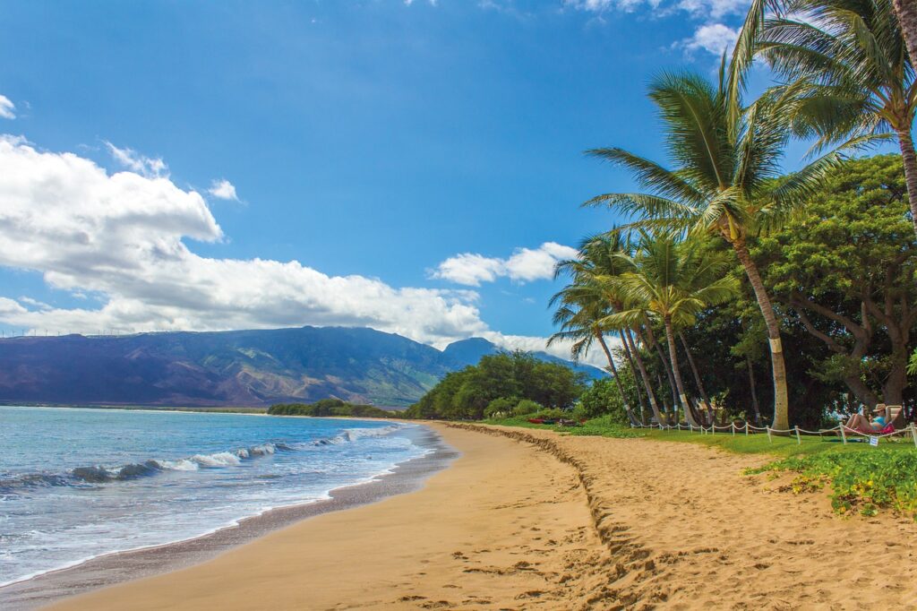 Plage maui 2024