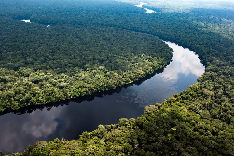 Top 5 des activités incontournables à faire au Congo en 2025