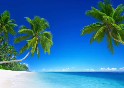 Les 5 plus belles plages du monde : offrez-vous un rêve éveillé