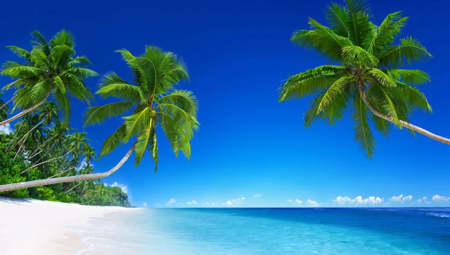 Les 5 plus belles plages du monde : offrez-vous un rêve éveillé