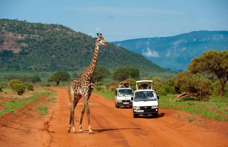 safari au Parc National de Tsavo Est